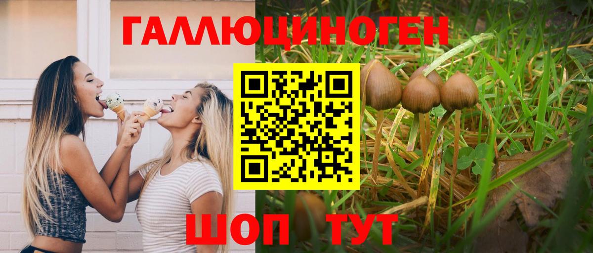 Галлюциногенные грибы Psilocybine cubensis  Галлюциногенные грибы MAGIC MUSHROOMS  сколько стоит  Темрюк  Вход с VPN 